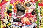 லட்சுமி வராஹ பெருமாள் கோயில் வருஷாபிஷேகம்