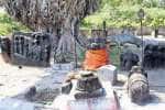 கிடப்பில் மணிமண்டபம் அறிவிப்பு: வீணாகும் வரலாற்று சின்னங்கள்
