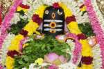 மகா சிவராத்திரி விழா: கோயில்களில் குவிந்த பக்தர்கள்