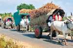 மகா சிவராத்திரி: குலதெய்வத்தை வழிபட மாட்டு வண்டியில் புறப்பாடு