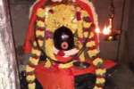 விளமல் பதஞ்சலி மனோகரர் கோயிலில் மஹா சிவராத்திரி வழிபாடு