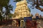 அரியலூர் அருகே 1,000 ஆண்டு தொன்மையான சிவன்கோயில்