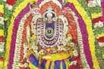 வடமதுரை மாரியம்மன் கோயில் மாசித்திருவிழா