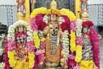 புவனகிரியில் ஸ்ரீமுஷ்ணம் பூவராகசுவாமி தரிசனம்
