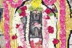 கரையேறவிட்டகுப்பத்தில் அப்பர் கரையேறிய விழா ரத்து