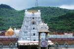 வாயில்லா ஜீவன்களுக்கும் உணவு: திருப்பதி தேவஸ்தானம்