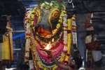 திருவண்ணாமலை, அருணாசலேஸ்வரர் கோவிலில் பிரதோஷ பூஜை