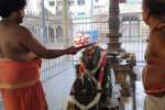 இம்மையிலும் நன்மை தருவார் கோயிலில் பிரதோஷ வழிபாடு