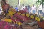 பெரியாண்டிச்சி அம்மனுக்கு சிறப்பு பூஜை