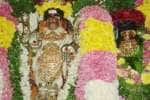 நடுவீரப்பட்டு கைலாசநாதர் கோவிலில் சித்தருக்கு சிறப்பு பூஜை