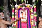 வீரட்டானேஸ்வரர் கோவிலில் சிறப்பு அலங்காரம்