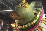 அருணாசலேஸ்வரர் கோவிலில் சனி பிரதோஷ பூஜை
