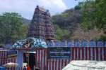 அழகர்கோவில் ஆடித்தேரோட்டம் நடத்த வழக்கு