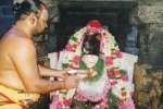 அதுல்யநாதேஸ்வரர் கோவிலில் சனி பிரதோஷ வழிபாடு