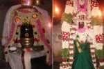 விளமல் பதஞ்சலி மனோகரர் கோயிலில் சிறப்பு வழிபாடு