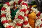 இம்மையிலும் நன்மை தருவார் கோயிலில் சனி பிரதோஷ வழிபாடு