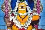 பொள்ளாச்சி சிவாலயங்களில் பிரதோஷ வழிபாடு