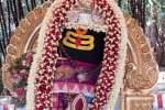 சதுரகிரி சுந்தரமகாலிங்கம் அலங்காரத்தில் திருப்பரங்குன்றம் சிவபெருமான்