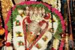 சதுரகிரியில் பக்தரின்றி அமாவாசை
