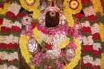 விளமல் பதஞ்சலி மனோகரர் கோயிலில் ஆடி வெள்ளி வழிபாடு