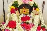 பழனி ஆண்டவர் கோவிலில் வேல் வழிபாடு