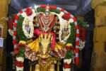 கஜகிரி செங்கல்வராய சுவாமி கோவிலில் ஆடிக்கிருத்திகை