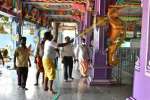 சித்தானந்தர் கோவிலில் உழவாரப்பணி