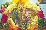 தும்பிக்கை ஆழ்வாருக்கு சிறப்பு வழிபாடு