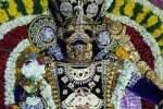 நாமகிரிப்பேட்டை மாரியம்மன் கோவிலில் குடமுழுக்கு ஆண்டு விழா