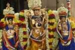 வரதராஜ பெருமாள் கோவிலில் திருக்கல்யாண உற்சவம்