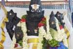 கொரோனா அழிய வேண்டி லட்சுமி நாராயணனுக்கு சிறப்பு பூஜை