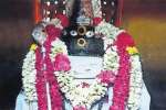 விருத்தாசலம் கோவில்களில் சிறப்பு வழிபாடு