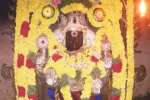 விளமல் பதஞ்சலி மனோகரர் கோயிலில் சிறப்பு வழிபாடு