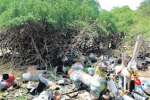 ராமநாதபுரத்தில் இயற்கை சூழலை பாதுகாக்கும் கோயில் காப்புக்காடுகள்