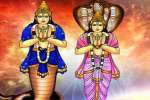 சங்கடம் தீர்க்குமா சாயா கிரகங்கள் : இன்று ராகு, கேது பெயர்ச்சி