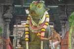 திருவண்ணாமலை அருணாசலேஸ்வரர் கோவிலில் பிரதோஷ பூஜை