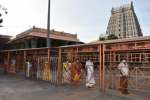 திருவண்ணாமலை அருணாசலேஸ்வரர் கோவில் திறப்பு