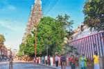 அன்னையே உன்னை தரிசிக்க புண்ணியம் செய்தோம்* பெண்கள் மகிழ்ச்சி