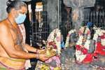 விருத்தகிரீஸ்வரர் கோவிலில் ராகு கேது பெயர்ச்சி சிறப்பு வழிபாடு