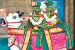 மீனாட்சி சொக்கநாதர் கோயில் வருஷாபிஷேக யாக பூஜை