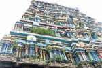 உத்திரகோசமங்கை சிவன் கோயிலில் செடிகள் வளர்ந்து பாழாகும் கோபுரம்