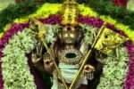 வடபழனி முருகன் ஆவணி கிருத்திகை வழிபாடு: நேரலையில் பக்தர்கள் தரிசனம்