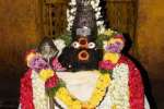 ஆவணி மாத கிருத்திகை கோவில்களில் சிறப்பு வழிபாடு
