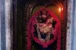 விளமல் பதஞ்சலி மனோகரர் கோயிலில் சிறப்பு வழிபாடு