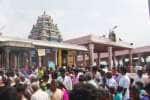 பழநியில் பக்தர்கள் வருகை அதிகரிப்பு