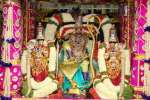 திருப்பதி பிரம்மோற்சவம் 3ம் நாள்: முத்துப்பந்தல் அலங்காரத்தில் சுவாமி