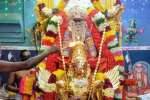 பாதூர் பிரசன்ன வெங்கடேசப் பெருமாள் கோவிலில் தங்க கருட சேவை