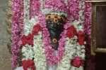 திருவாவடுதுறையில் திருமூலர்  அசுபதி ஆராதனை விழா