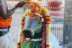 வீரட்டானேஸ்வரர் கோவிலில் பிரதோஷ வழிபாடு