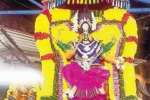 ஏகாத்தம்மன் கோவிலில் நவராத்திரி திருவிழா